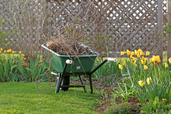 Flower Bed Cleanup Service in San Ramon
