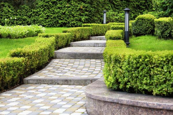 Backyard Remodeling in San Ramon