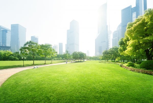 Commercial Landscape Maintenance in San Ramon