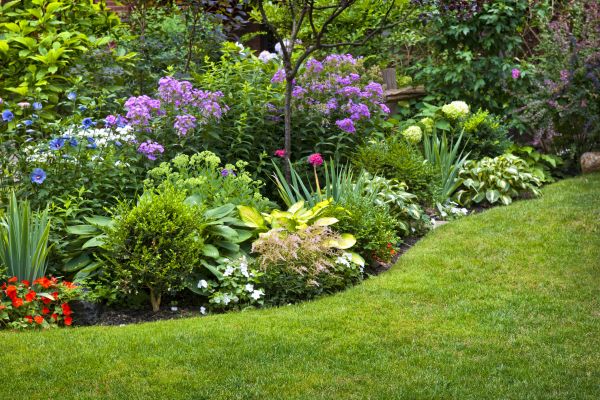 Flower Bed Service in San Ramon