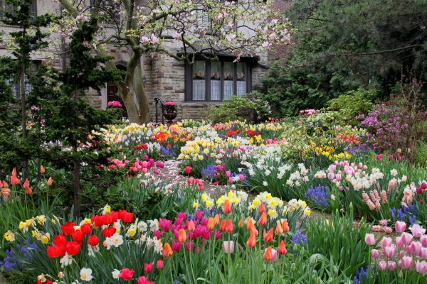 Garden Maintenance Service in San Ramon