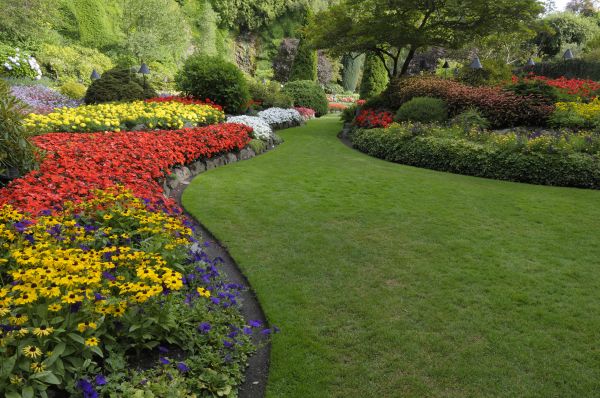 Landscaping Maintenance in San Ramon
