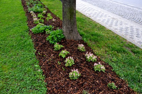 Mulch Replacement Service in San Ramon
