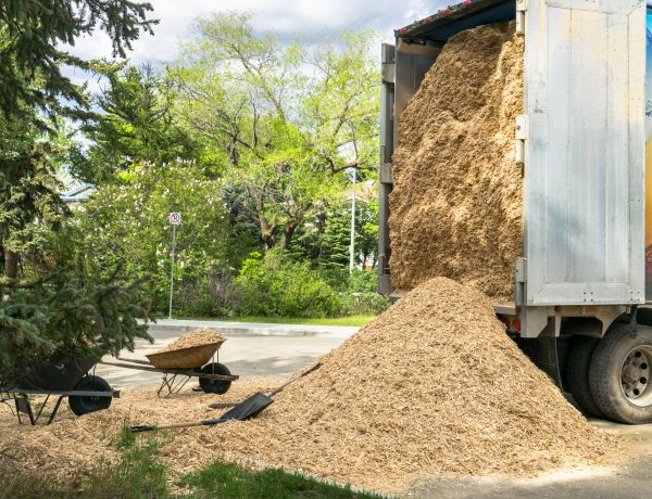 Wood Chips Delivery in San Ramon