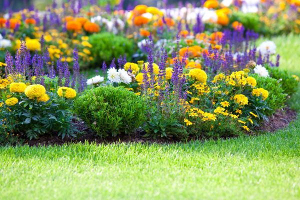 Garden Installation in San Ramon