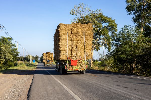 Pine Straw Delivery in San Ramon