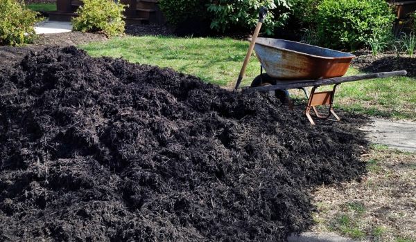 Black Mulch Delivery in San Ramon
