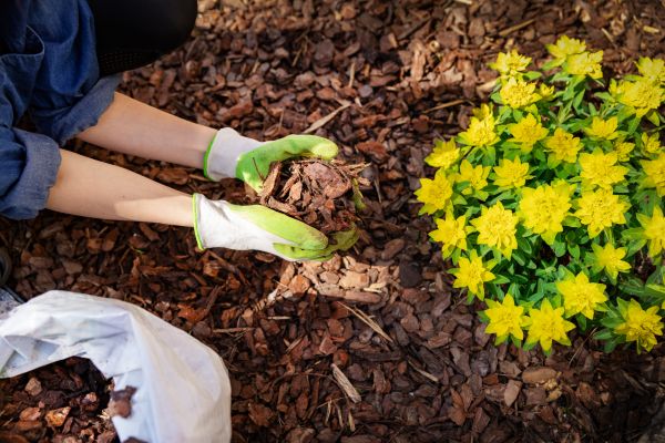 Garden Mulching in San Ramon