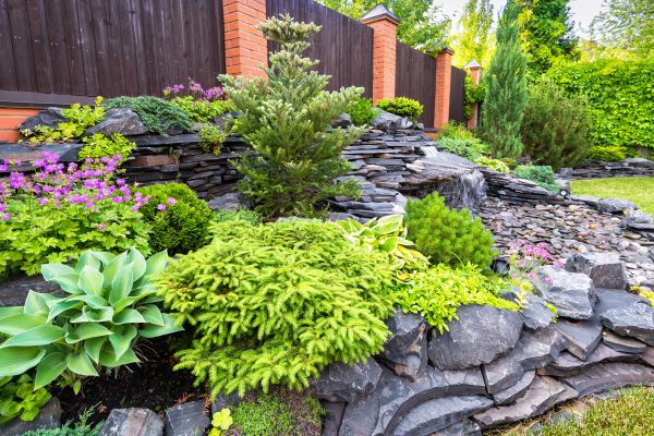 Landscape Remodeling in San Ramon