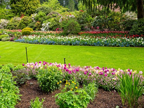 Residential Landscape Design in San Ramon