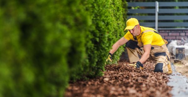 Cypress Mulch Installation in San Ramon