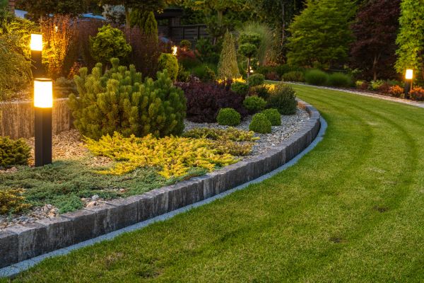Garden Repair Service in San Ramon