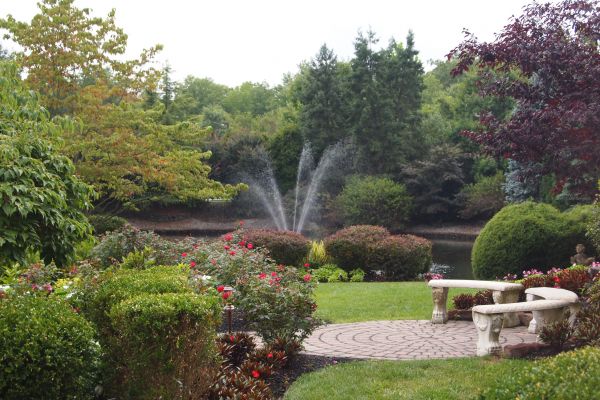 Courtyard Design Service in San Ramon