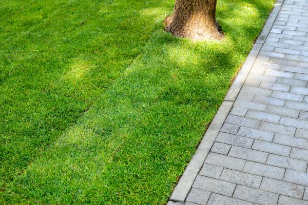 Border Stone Installation in San Ramon