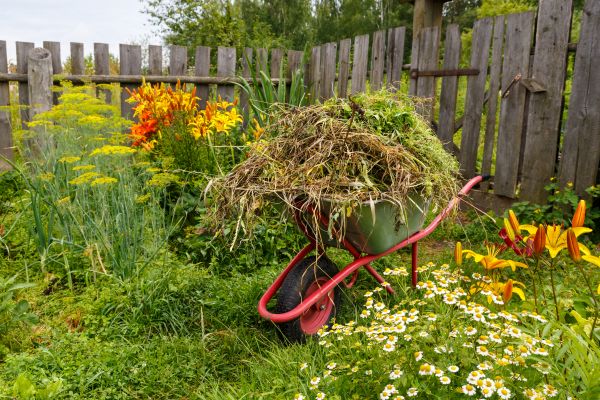 Garden Cleanup Service in San Ramon