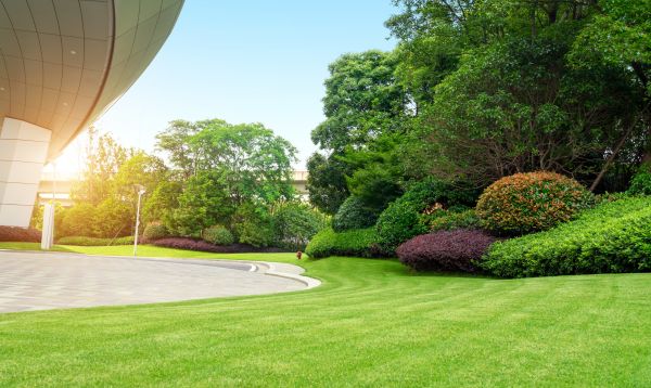Business Landscape Design in San Ramon