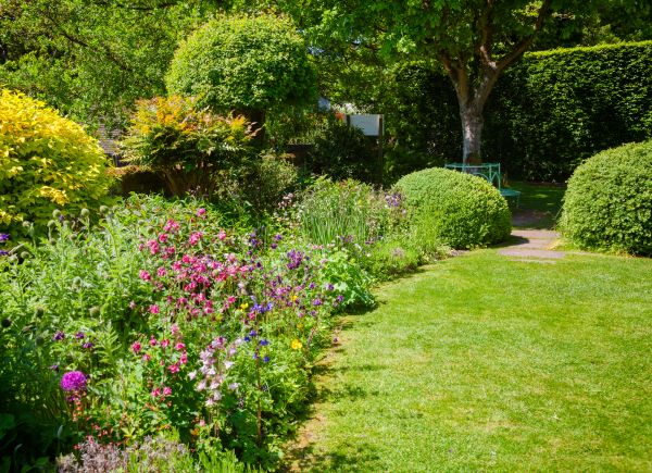 Yard Landscaping Service in San Ramon