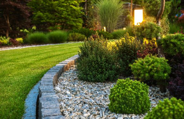 Landscaping Service in San Ramon