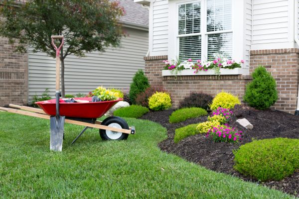 Tree And Shrub Planting in San Ramon