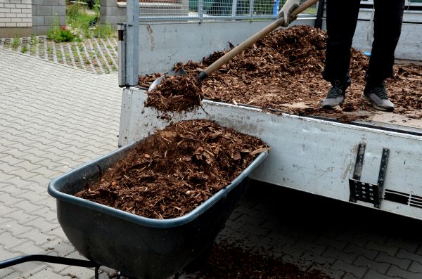 Landscape Mulch Delivery in San Ramon