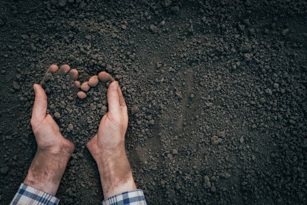 Soil Installation in San Ramon
