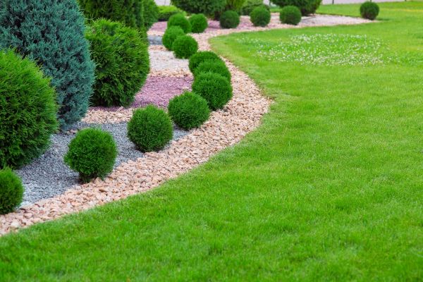 Edging Stones Installation in San Ramon