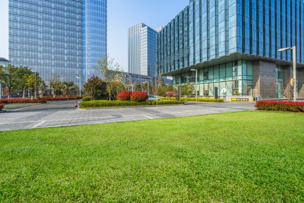 Industrial Landscaping Service in San Ramon
