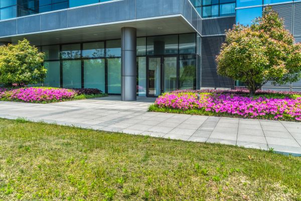 Commercial Gardening in San Ramon
