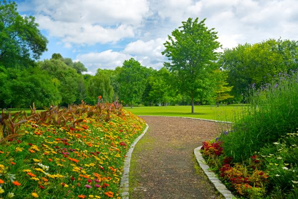 Park Landscaping in San Ramon