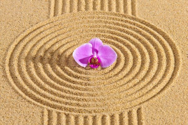 Sand Garden Landscaping in San Ramon
