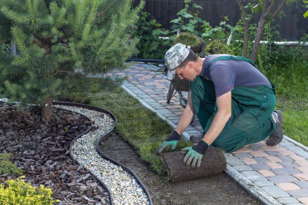 Landscaping Modification in San Ramon