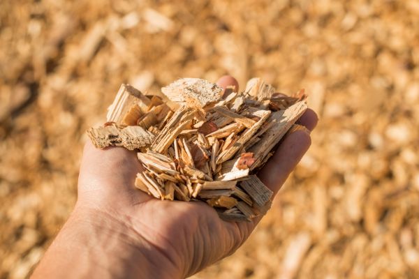 Wood Chips Spreading in San Ramon