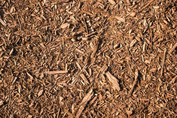 Wood Chips Removal in San Ramon