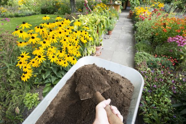 Topsoil Replacement in San Ramon