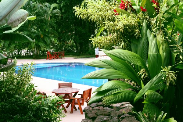 Pool Area Landscaping in San Ramon