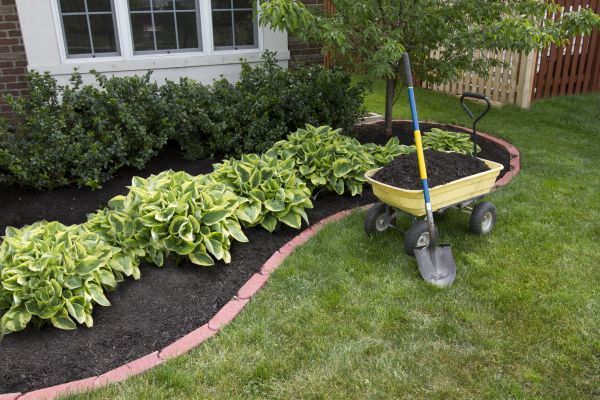 Landscape Mulching in San Ramon