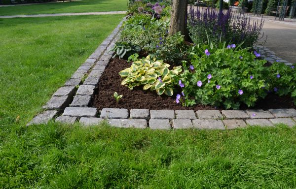 Flower Bed Mulching in San Ramon