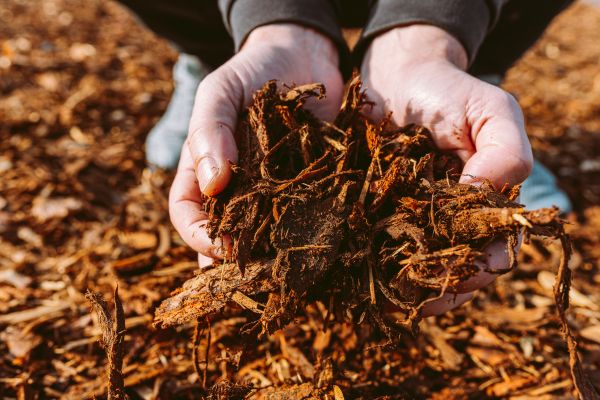 Bark Chips Delivery in San Ramon