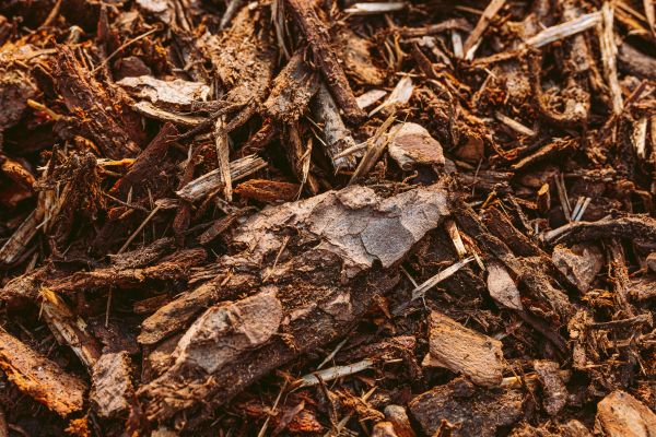 Bark Mulch Delivery in San Ramon