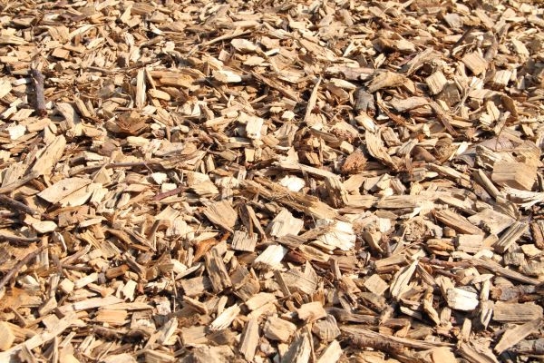 Wood Mulch Delivery in San Ramon