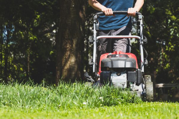 Garden Trimming Service in San Ramon