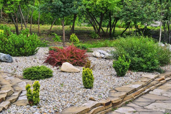 Hardscape Landscaping in San Ramon