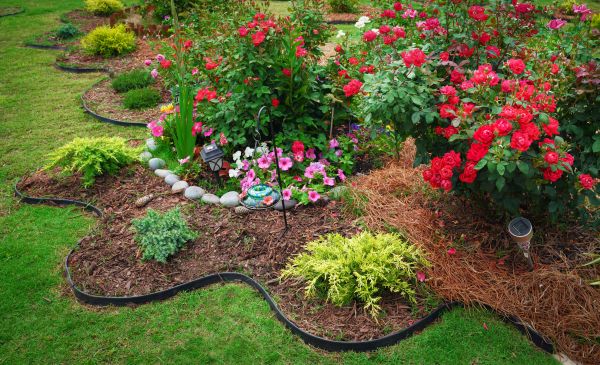 Floral Landscaping in San Ramon