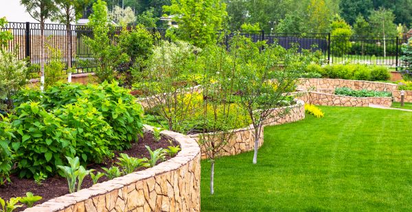 Yard Makeover Service in San Ramon