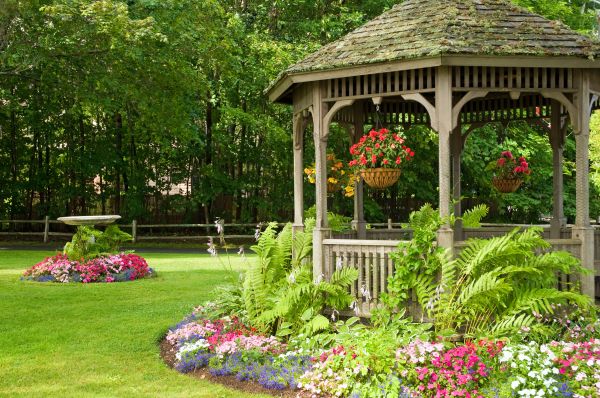 Backyard Landscaping Service in San Ramon