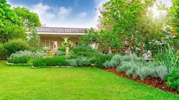 Greenery Planting in San Ramon