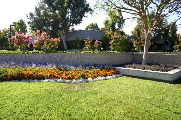 Commercial Landscape Service in San Ramon