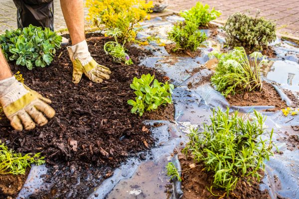 Mulch Fabric Installation in San Ramon