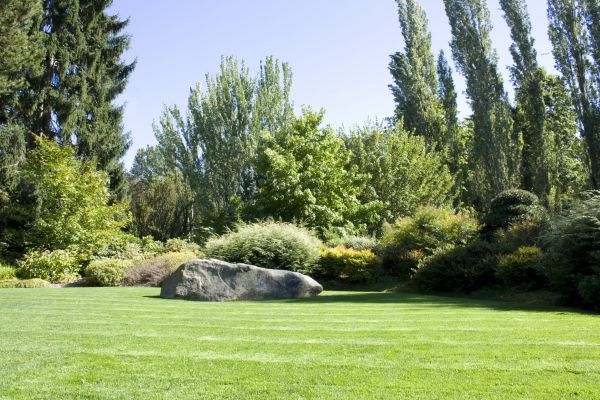 Yard Enlargement in San Ramon