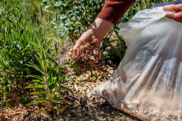 Wood Mulch Installation in San Ramon